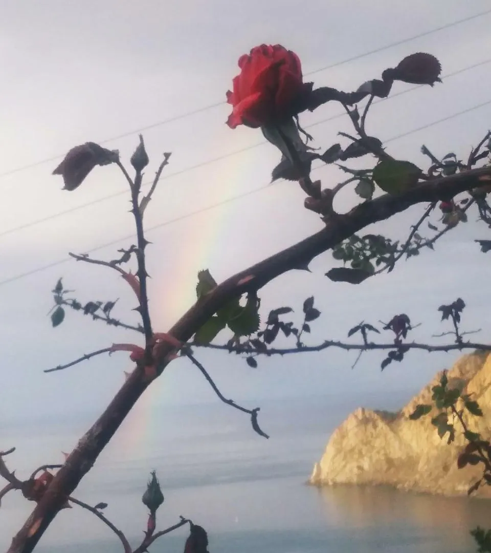 La Serra Sul Mare Monterosso al Mare 3*,  Italie